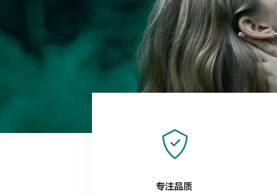 精美企業(yè)網(wǎng)站通用模板 自適應